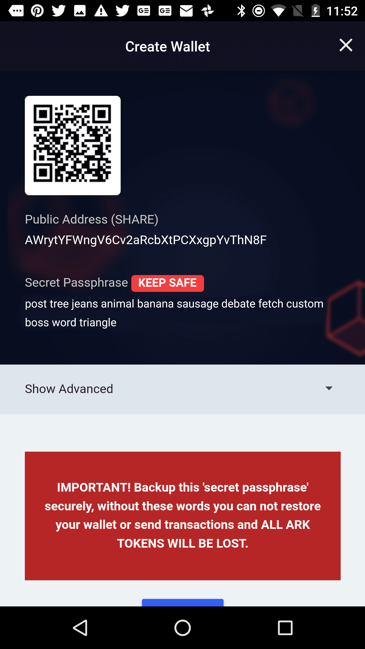 Recovery phrase display in the Ark mobile wallet