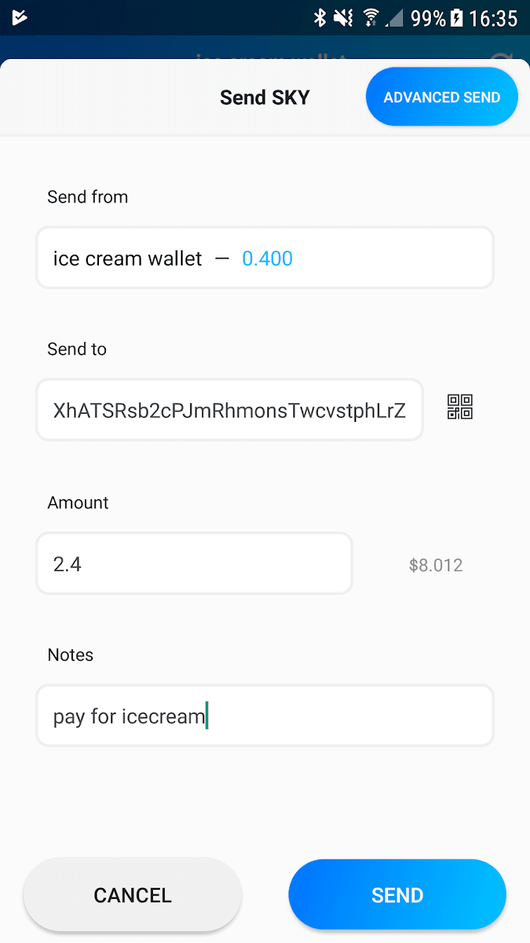 Send screen in the Skycoin wallet app.