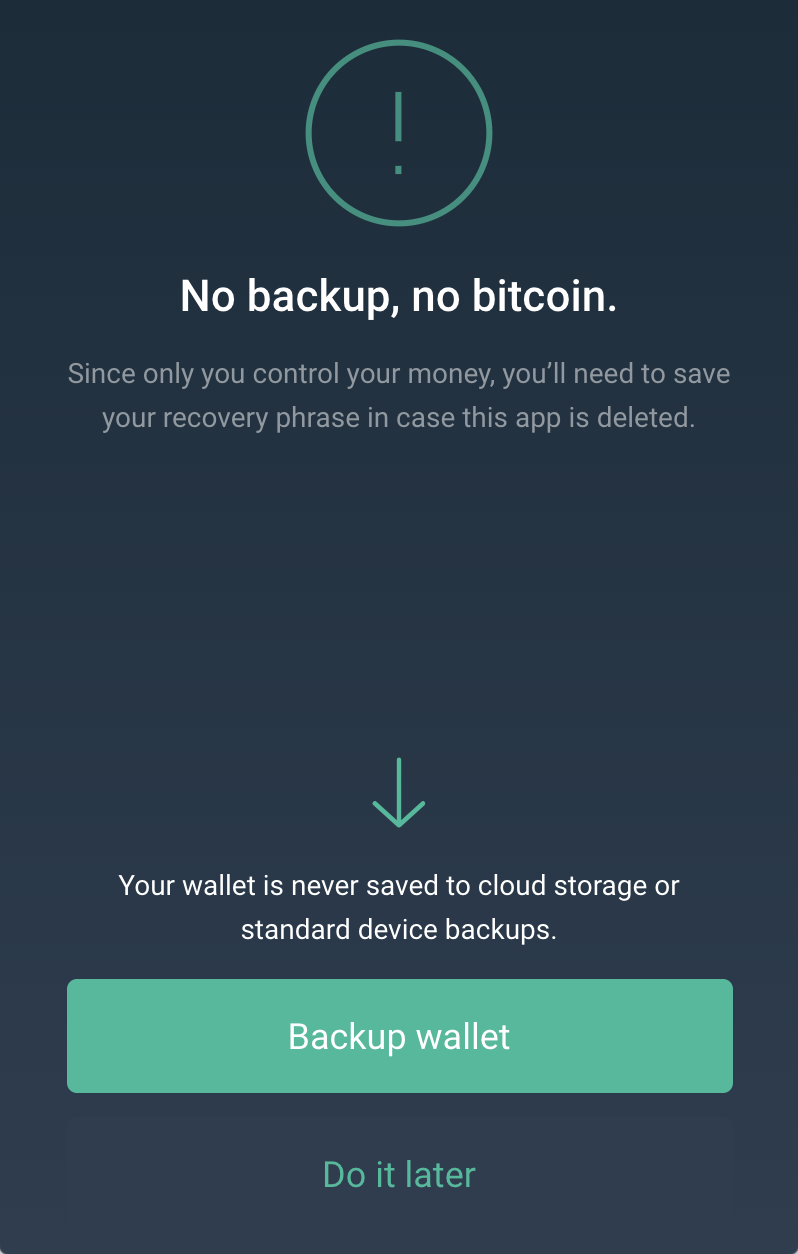 Copay wallet backup information