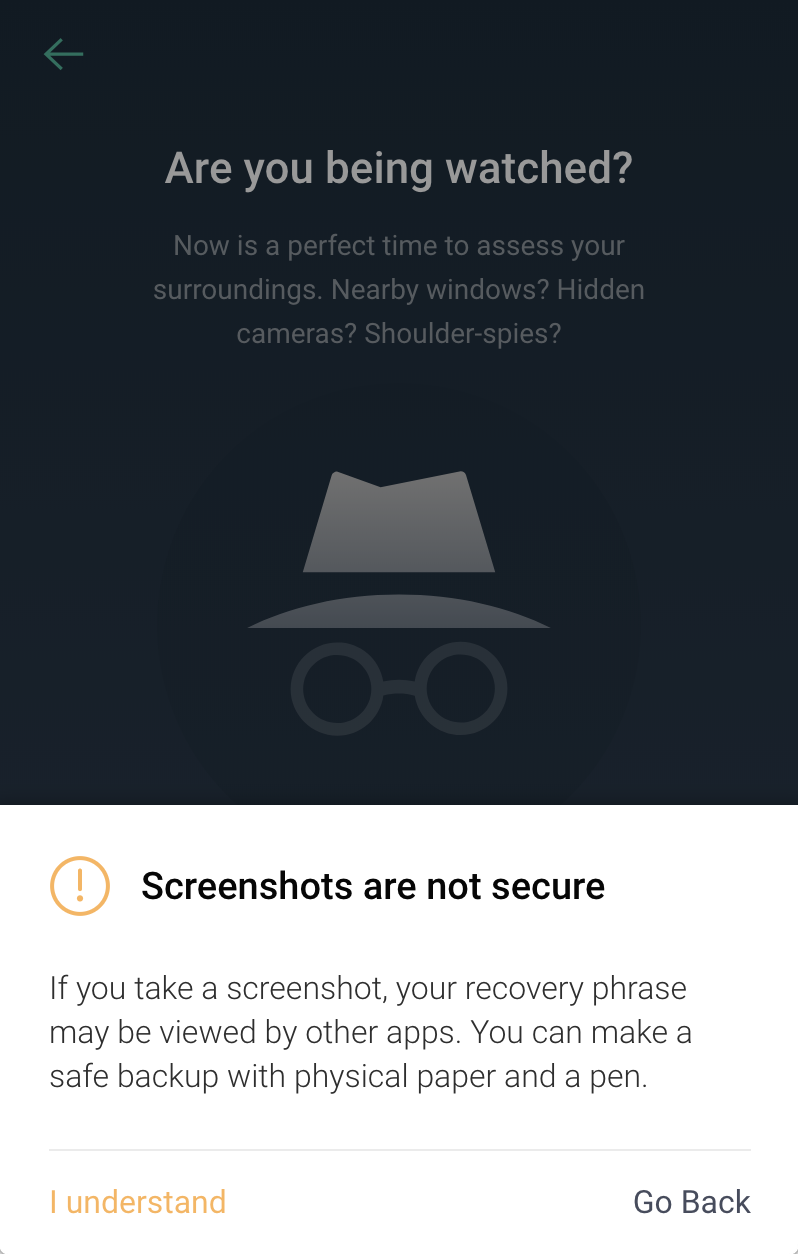 Copay wallet screenshot privacy warning